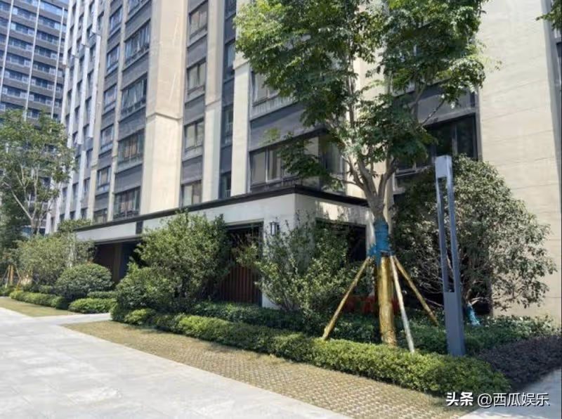 小S對大S骨灰的安排，暴露了小S內心的小九九