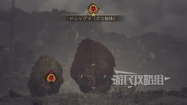 《怪物獵人:荒野》金冠確認方法