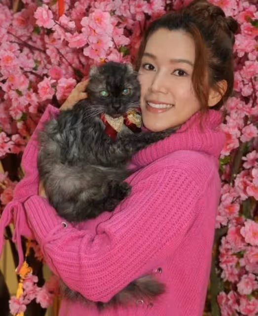 TVB實力女星攜22歲愛貓拜年，自曝有交往對象，放言奪視後再結婚