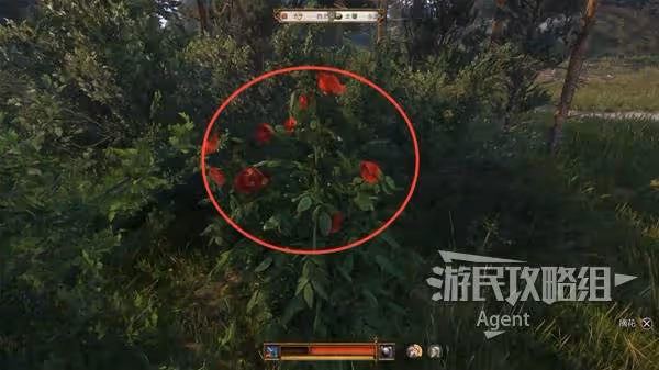 《天國：拯救2》深山隱士、罪惡的靈魂支線