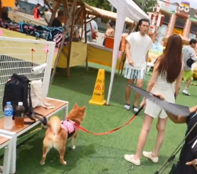 好事近？TVB上位小生與女友合照罕曝光，拍拖年半女方被指離過婚