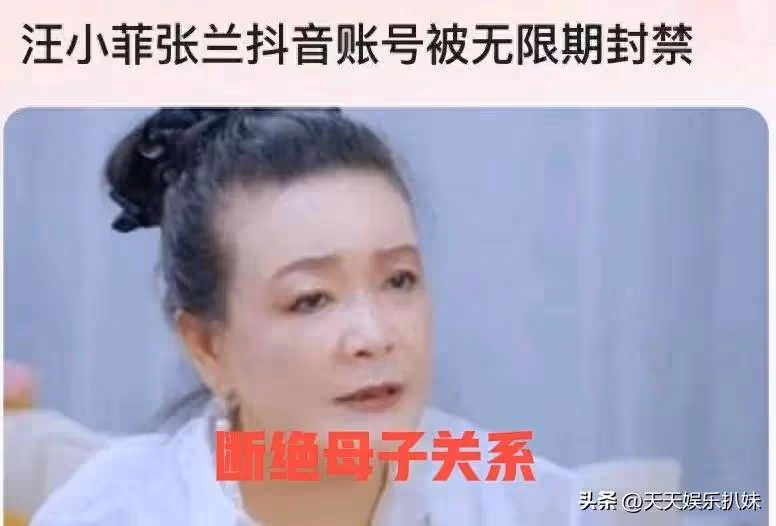 反轉!大S包機一事有蹊蹺,台博主透露真相,麻六記自救成功