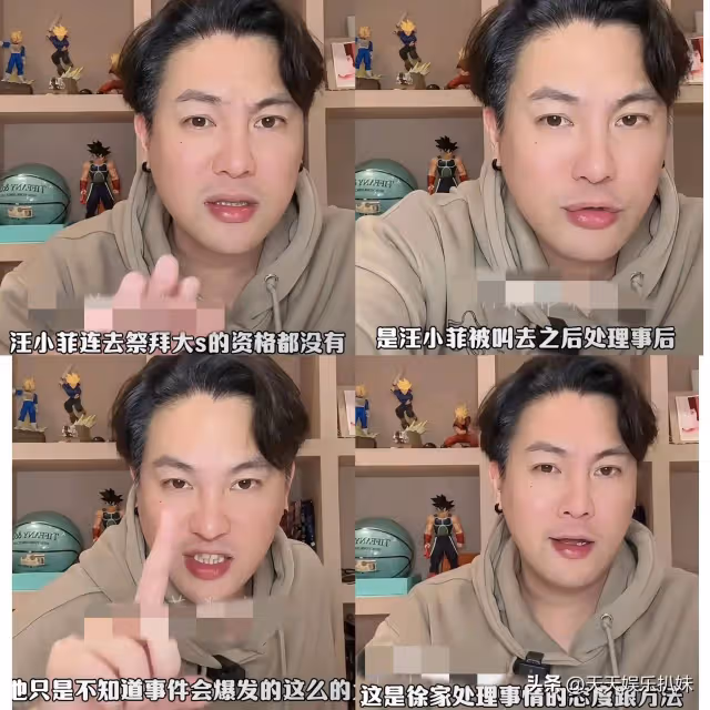 反轉!大S包機一事有蹊蹺,台博主透露真相,麻六記自救成功