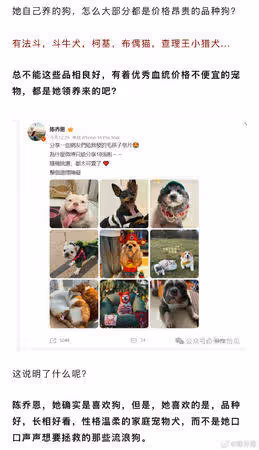 陳喬恩為狗發聲遭指虛偽！用繁體字PO文又被嗆 …不忍了丟44字反擊
