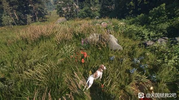 《天國:拯救2》騎馬上路主線流程攻略