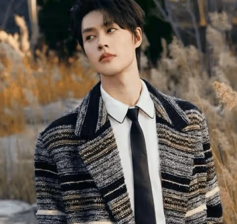 短劇《好一個乖乖女》柯淳個人資料簡介，柯淳和宋江長得很像