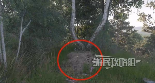 《天國:拯救2》隱士和墳墓位置