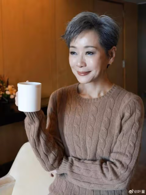 期待!TVB經典劇集兩位主演加盟《浪姐6》,網民靜待擦出新火花