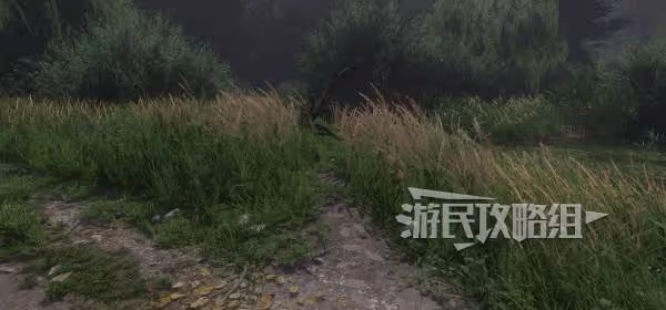 波西米亞酸菜天花板 《天國拯救2》捲心菜賊任務攻略