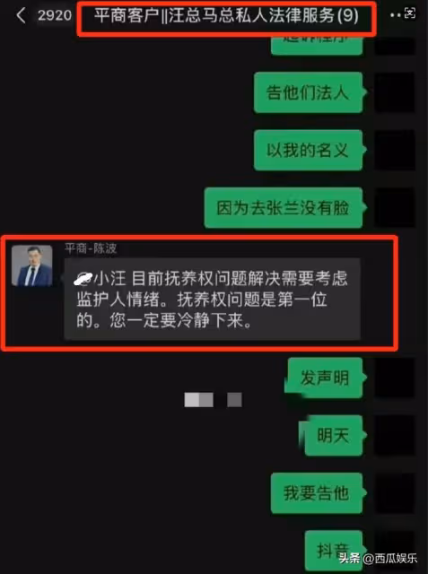 關於孩子撫養權,汪小菲律師的話暗藏深意,與台媒報道形成了矛盾