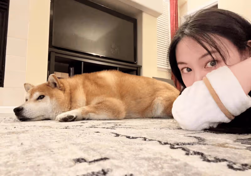 33歲鄭爽曬自畫像曝近況,身邊只有寵物不見孩子,生活依舊愜意