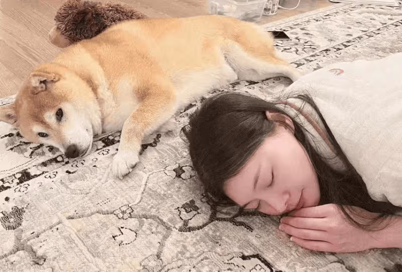 33歲鄭爽曬自畫像曝近況,身邊只有寵物不見孩子,生活依舊愜意