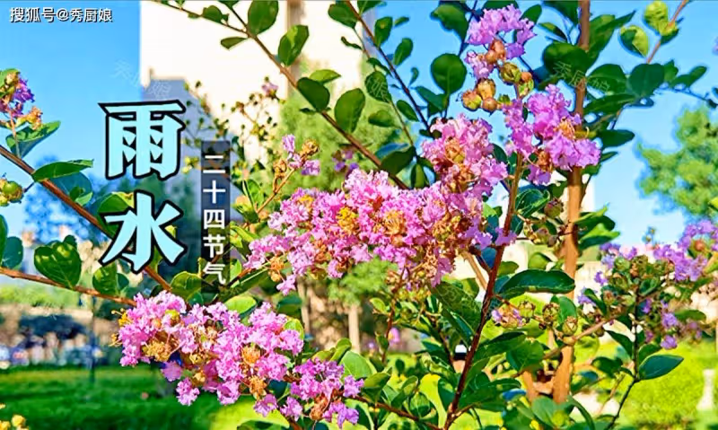 「雨水3不吃,吃了春難安」,2月18日雨水,記得忌嘴,健康迎春天
