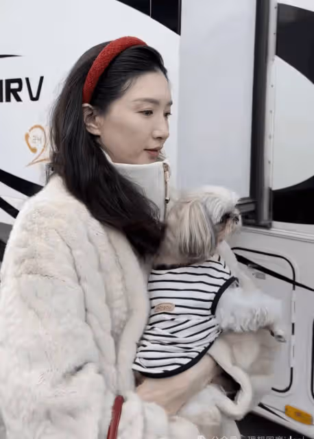 36歲江疏影帶狗上班被拍,穿貂皮大衣保暖又時髦,坐百萬豪車太有實力!