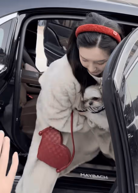 36歲江疏影帶狗上班被拍,穿貂皮大衣保暖又時髦,坐百萬豪車太有實力!
