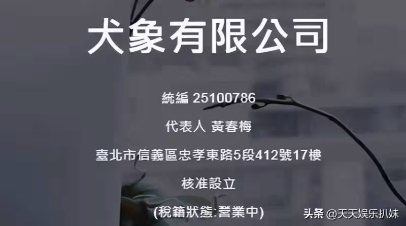 細思極恐,原來包機費用是大S自己掏的,小S的話滴水不漏!