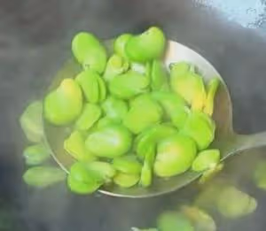蠶豆鹹肉燜春筍/春三鮮