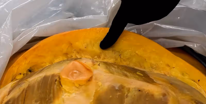 脂肪形成真相大揭秘!脂肪到底是怎麼排出人體的?