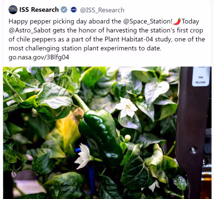 航天員如何在太空中自給自足？或許可以「吃」小行星！