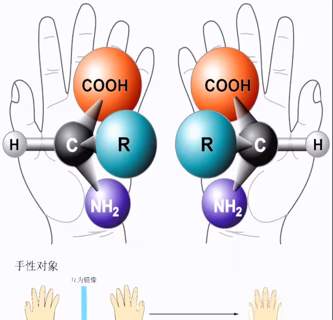 航天員如何在太空中自給自足？或許可以「吃」小行星！