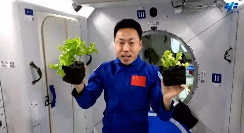 航天員如何在太空中自給自足?或許可以「吃」小行星!