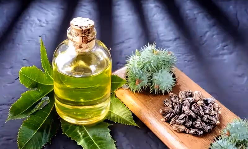 這種不起眼的植物,我國農村隨處可見,卻險些要了美國總統的命