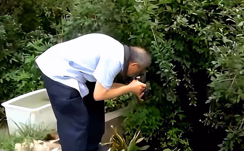 男子在小區池塘拍照,發現2億年前遠古生物,它真的停止了進化