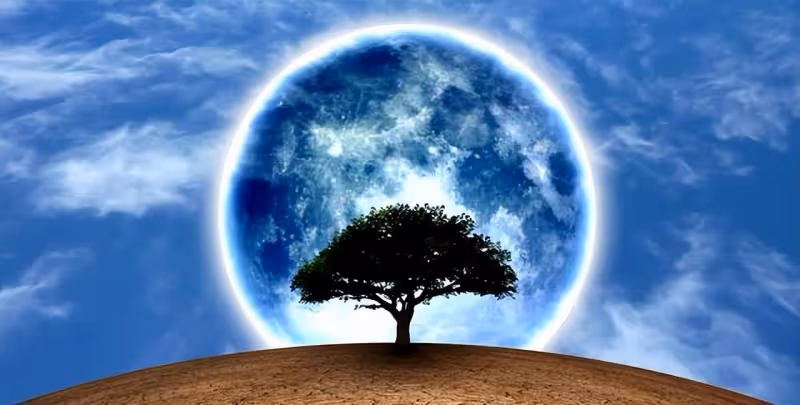 科學家發現的兩顆最新「超級地球」,人類可以移民嗎?