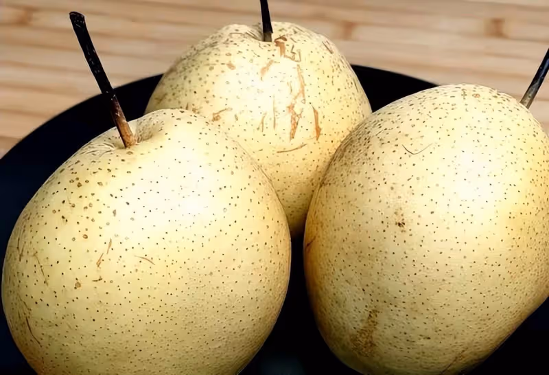 白菜是肺炎「剋星」？醫生告誡：肺不好的患者多留心，2物可多吃