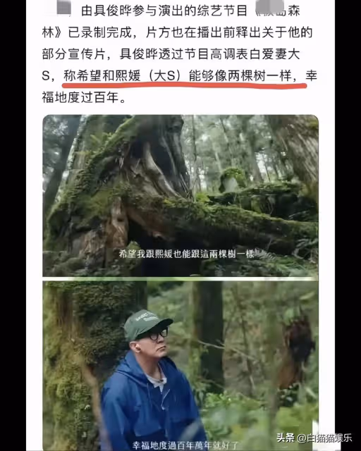 終於知道大S和具俊曄為何會在手腕紋圈圈了,為何要求樹葬了