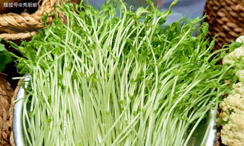 立春後,遇到這5種蔬菜別手軟,都是應季新鮮菜,價格便宜營養高