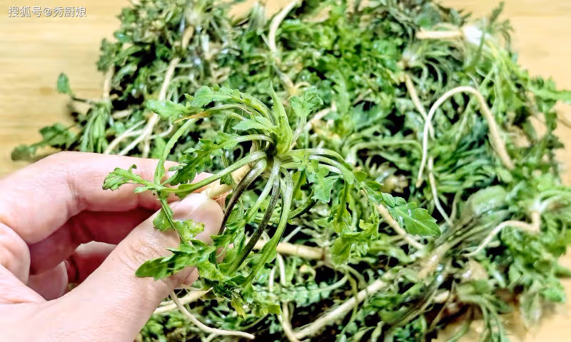 立春後,遇到這5種蔬菜別手軟,都是應季新鮮菜,價格便宜營養高