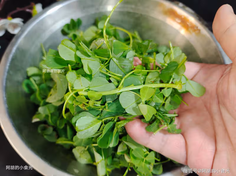 薺菜、韭菜靠邊站!春天太適合吃這菜,調餡時加一把,清香不膩、滿口新鮮,吃出春天好味道