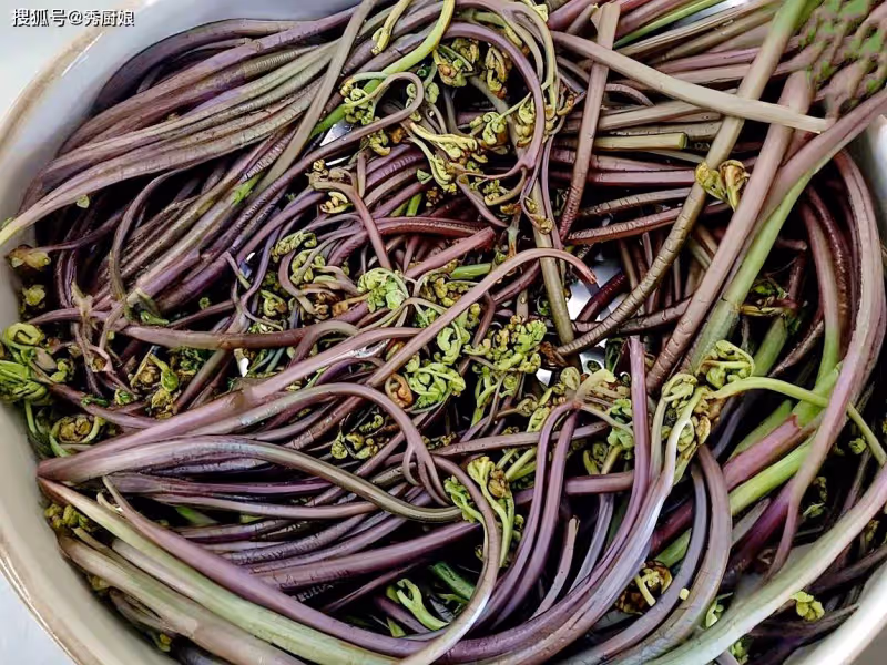 春天,打死都不要買這「6種」蔬菜,不僅吃了沒營養,還會傷身體