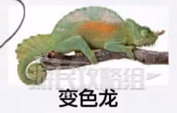 《如龍8外傳》雜學王2級證書考試答案