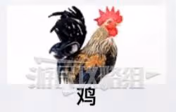 《如龍8外傳》夏威夷測驗考試答案一覽