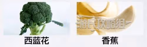 《如龍8外傳》肌肉博士證書考試答案一覽