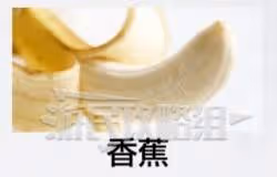 《如龍8外傳》肌肉博士證書考試答案一覽