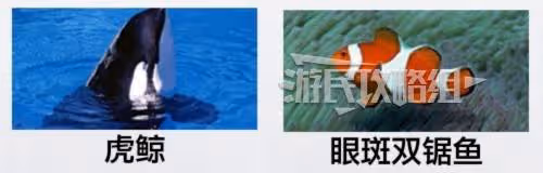 《如龍8外傳》海洋生物博士證書考試答案