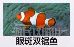 《如龍8外傳》海洋生物博士證書考試答案