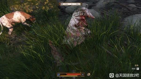 《天國:拯救2》鹿皮獲得方法