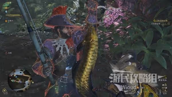 《怪物獵人：荒野》目標是黃金魚支線攻略