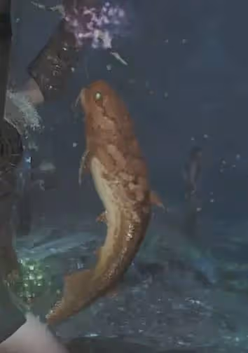 《怪物獵人:荒野》釣魚點位分享