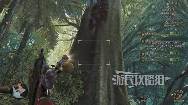 《怪物獵人:荒野》瑰寶金龜子地圖位置介紹