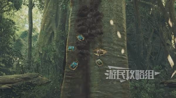 《怪物獵人:荒野》瑰寶金龜子地圖位置介紹