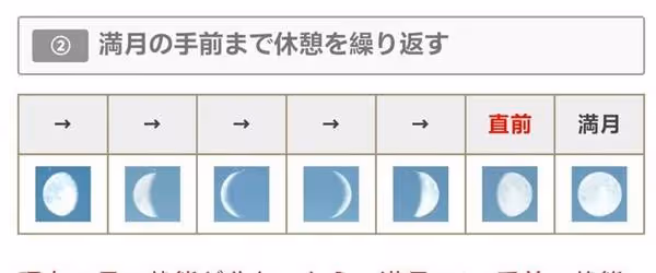 《怪物獵人:荒野》滿月刷珠子方法分享