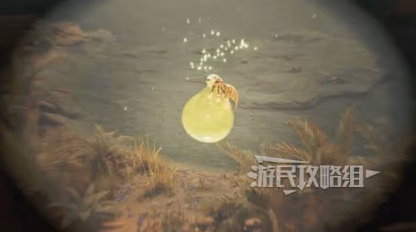 《怪物獵人:荒野》大回復蜜蟲地圖點位