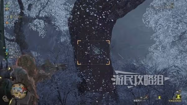 《怪物獵人：荒野》虹色大獨角仙捕捉位置