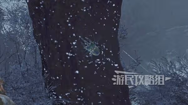 《怪物獵人：荒野》虹色大獨角仙捕捉位置