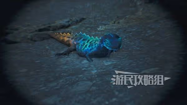 《怪物獵人：荒野》燐炎領蜥位置及捕獲方法